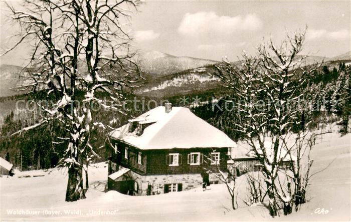 St Oswald-Riedlhuette Pension Lindenhof Winter Schnee