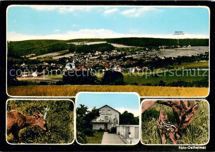 Geiselbach Gesamtansicht u. Pension Hubertus Rehe