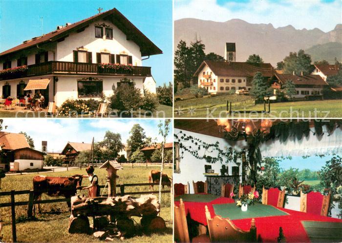 Wackersberg Bad Toelz Pension Willibald Kuh