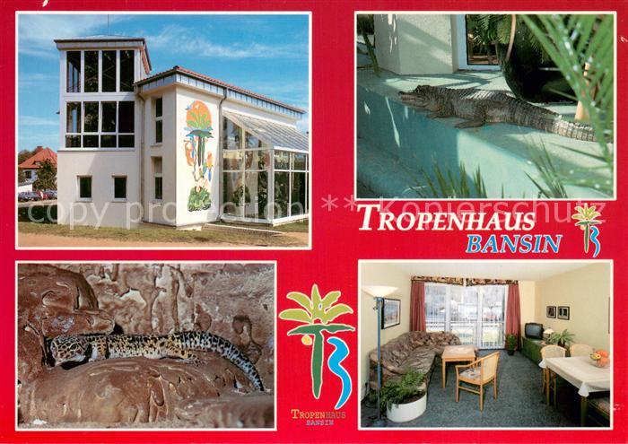 Bansin Ostseebad Apartement Ferienanlage Tropenhaus Bansin Leopardgecko Brillenk