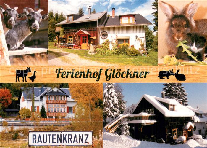 Rautenkranz Vogtland Ferienhof Gloeckner Ziegen Katzen Winteridyll