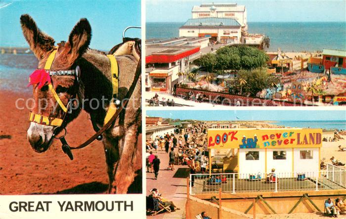 Great Yarmouth Britannia Pier north beach Esel Lasttier