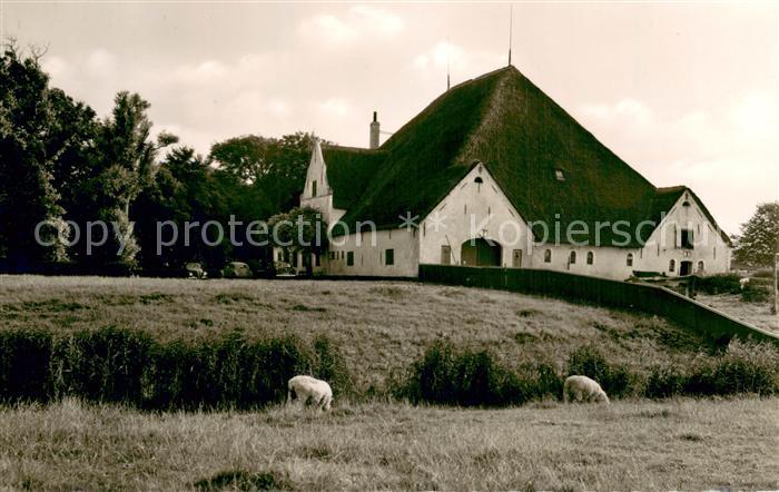 Witzwort Gaststaette Roter Hauberg
