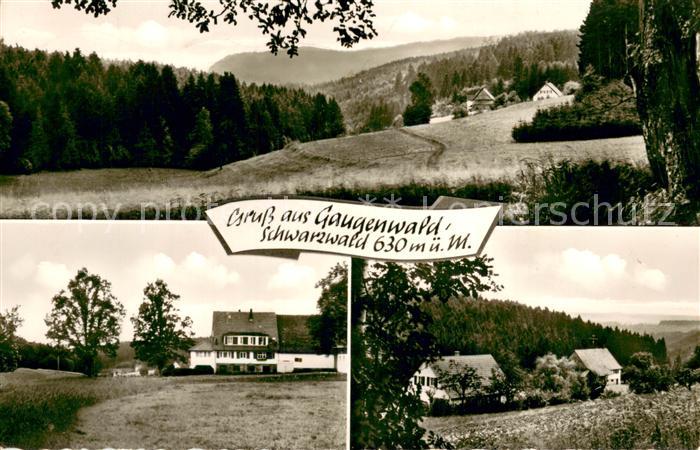 Gaugenwald Pension Tannenhof Landschaftspanorama Schwarzwald