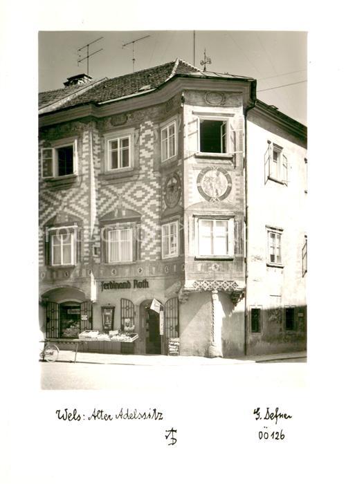 Wels Alter Adelssitz