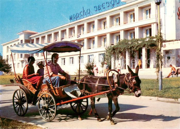 Slatni Pjasazi Hotel Morska Svesda Eselkarren