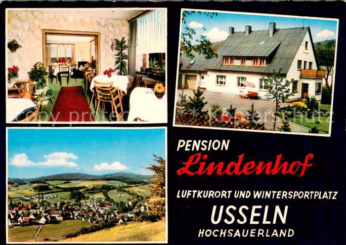 Usseln Pension Lindenhof Panorama Luftkurort Wintersportplatz
