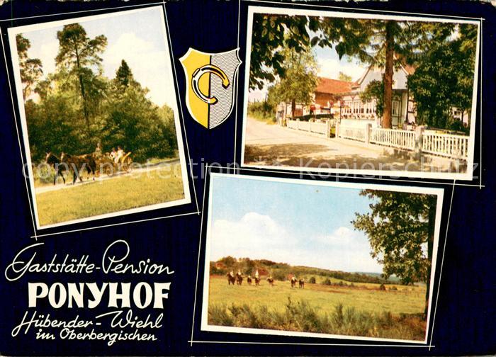 Huebender Gaststaette Pension Ponyhof Pferdekutsche Ausritte