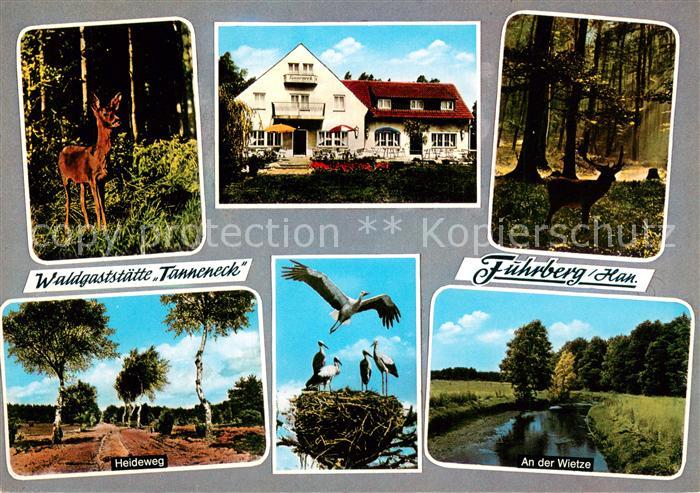 Fuhrberg Waldgaststaette Tanneneck Reh Heidelandschaft Storchennest Wietze