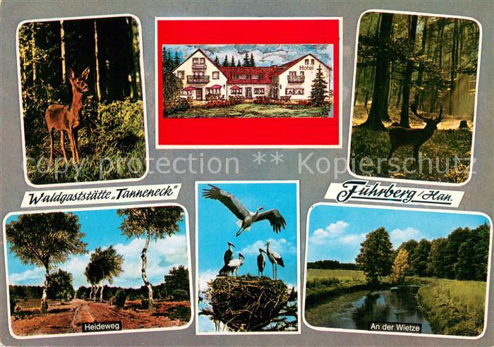 Fuhrberg Waldgaststaette Tanneneck Heidelandschaft Storchennest Reh im Wald An d