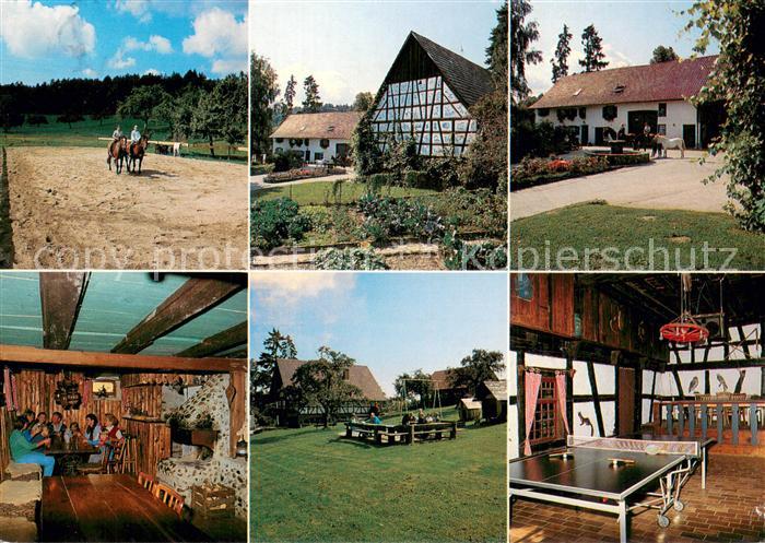 Gaienhofen Ferien auf dem Bauernhof Huettenzauber Tischtennis Reitanlage