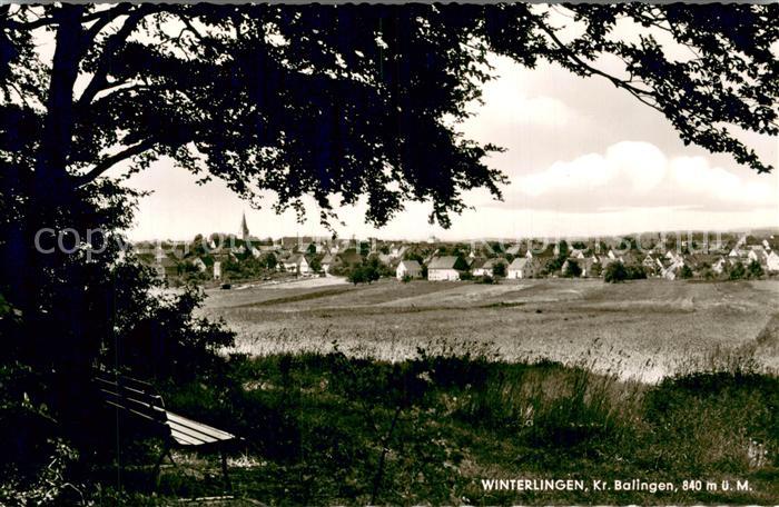 Winterlingen Gesamtansicht