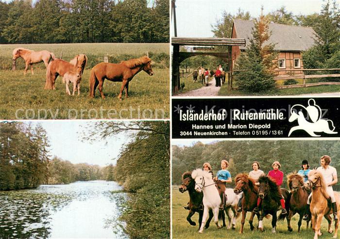Neuenkirchen Lueneburger Heide Islaenderhof Rutenmuehle Pferde