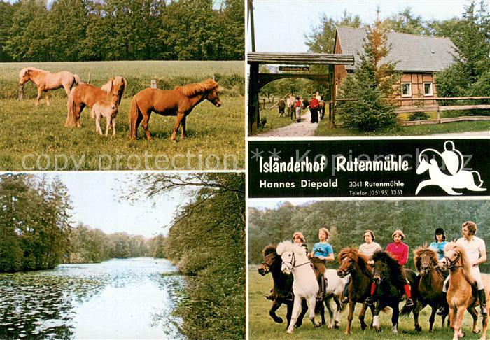 Rutenmuehle Islaenderhof Rutenmuehle Pferde Teilansichten