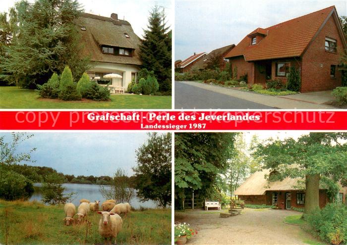 Schortens Grafschaft Jeverland Schafe