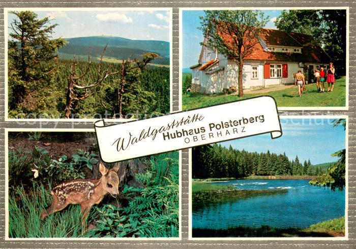 Clausthal-Zellerfeld Goslar Niedersachsen Waldgaststaette Hubhaus Polsterberg