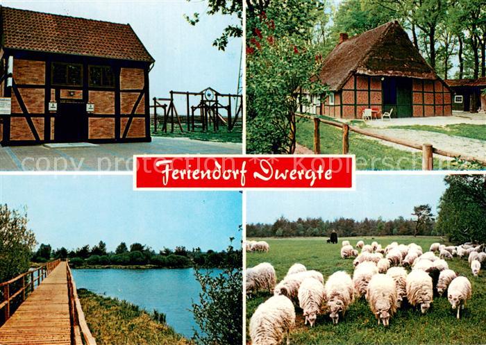 Dwergte Molbergen Feriendorf Dwergte Schafherde