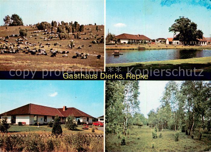 Repke Gasthaus-Pension Dierks Schafherde Naturansichten