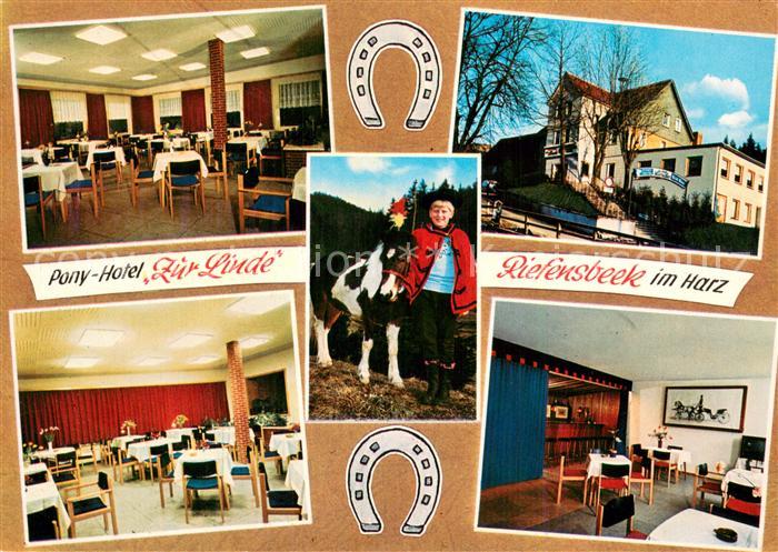 Riefensbeek-Kamschlacken Pony-Hotel zur Linde