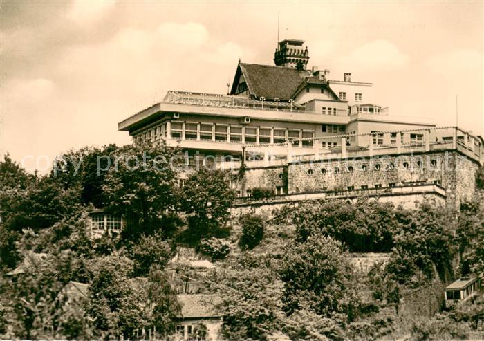 Weisser Hirsch HOG Luisenhof