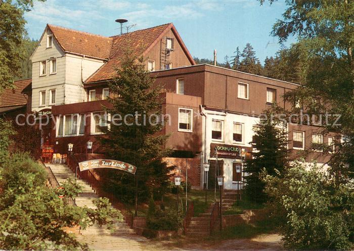 Osterode Harz Pony-Hotel Zur Linde