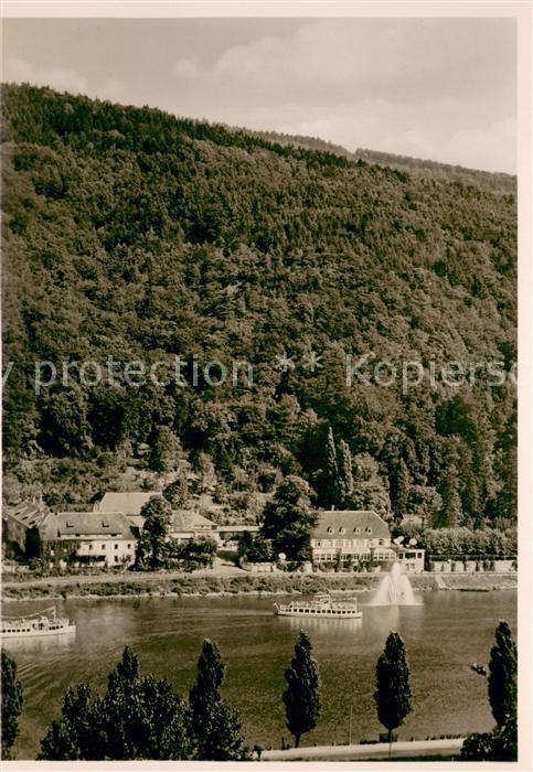 Heidelberg Neckar Park Hotel Haarlass Fliegeraufnahme