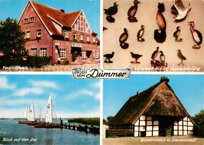 Duemmerlohausen Pensionshaus Ausschnitt aus der Vogelsammlung Seeblick Bauernhau