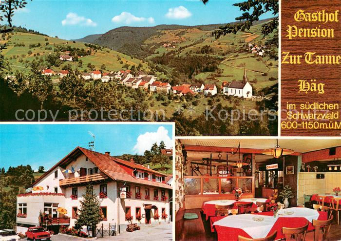 Haeg-Ehrsberg Gasthof Pension Zur Tanne Panorama Gaststube