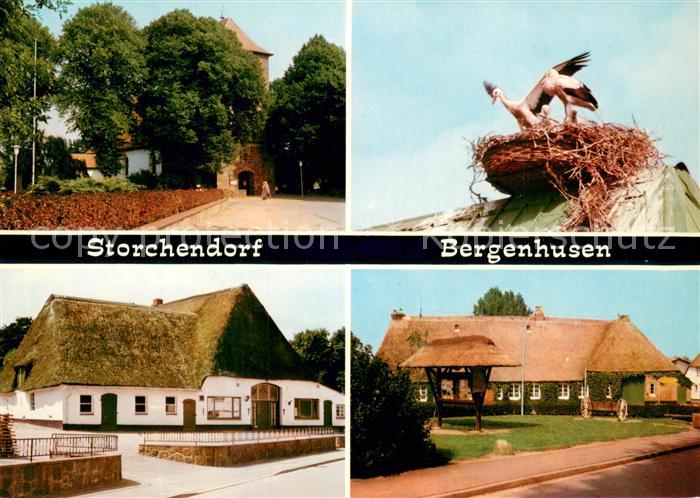 Bergenhusen Storchendorf Details Storchennest