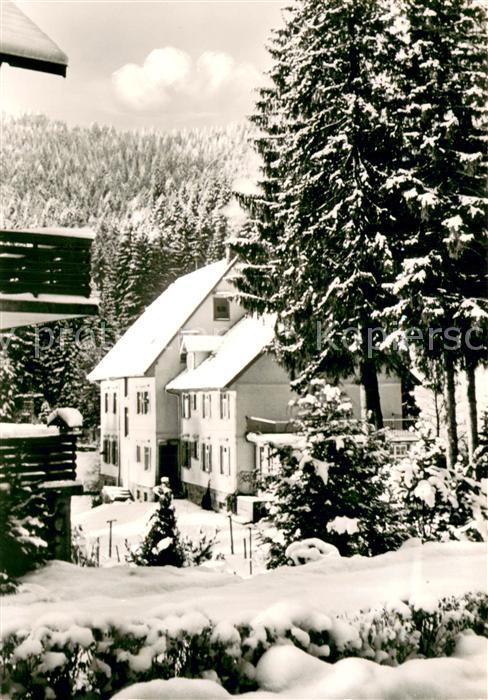 Hundsbach Forbach Familien-Ferienhaus Stegerwald e.V. Winter im Schwarzwald