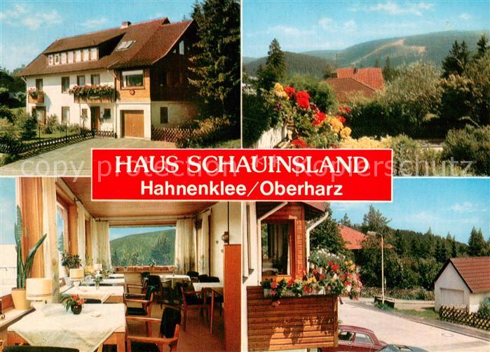 Hahnenklee-Bockswiese Harz Haus Schauinsland Gaestehaus Pension Landschaft