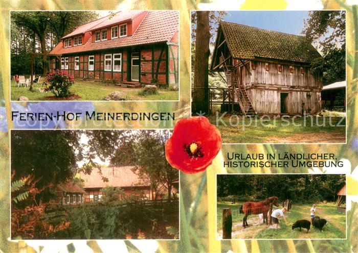 Meinerdingen Ferienhof Alte Scheune Pferde Schafe
