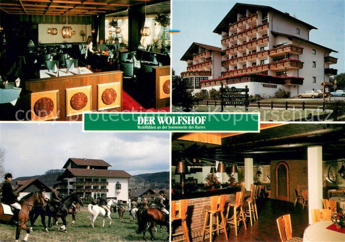 Wolfshagen Harz Hotel Wolfshof Restaurant Reitsport