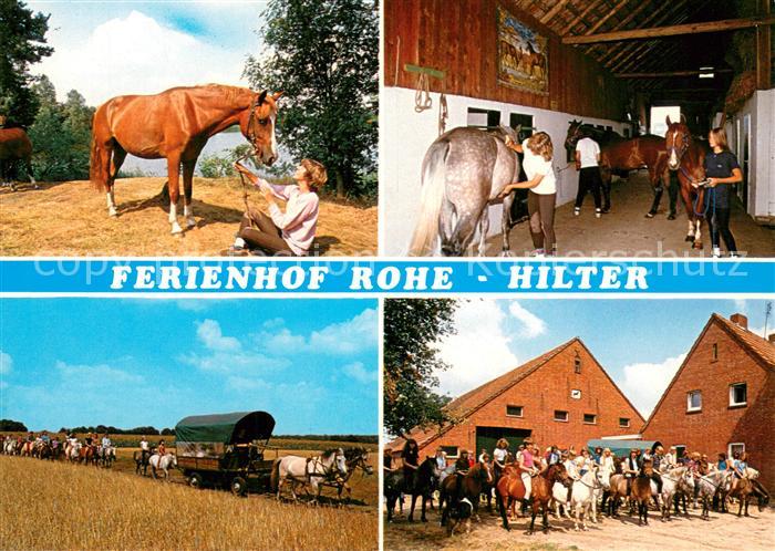 Lathen Ferienhof Rohe Reitstall