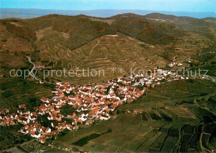 Oberbergen Vogtsburg Fliegeraufnahme mit Kaiserstuhl