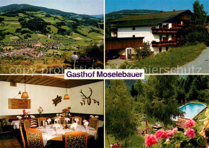 Bad St Leonhard Lavanttal Panorama Gasthof Moselebauer Gaststube Pool
