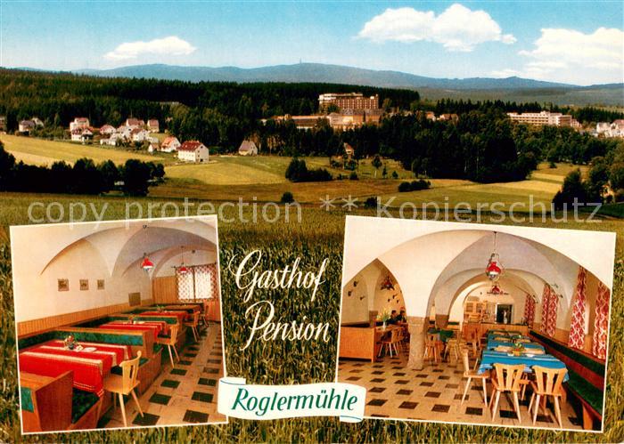 Alexandersbad Bad Gasthof Pension Roglermuehle Gastraeume Panorama
