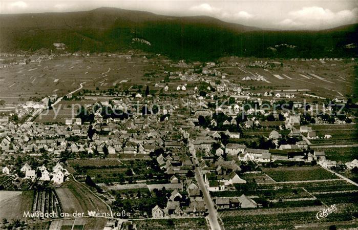 Mussbach Fliegeraufnahme Gesamtansicht