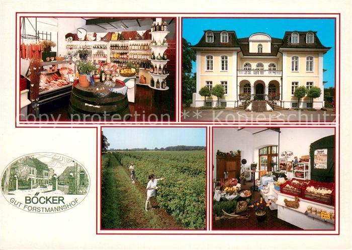 Luedinghausen Gut Forstmannshof Metzgerei Bauernladen