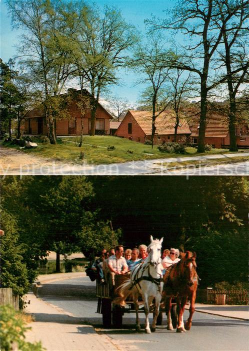 Undeloh Ferienhaus Pension Schroeder Kutschfahrten