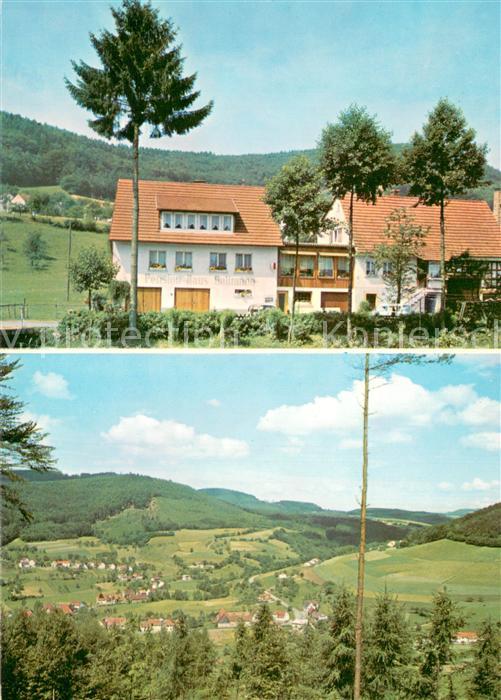 Ober-Schoenmattenwag Pension Haus Ballmann Landschaftspanorama