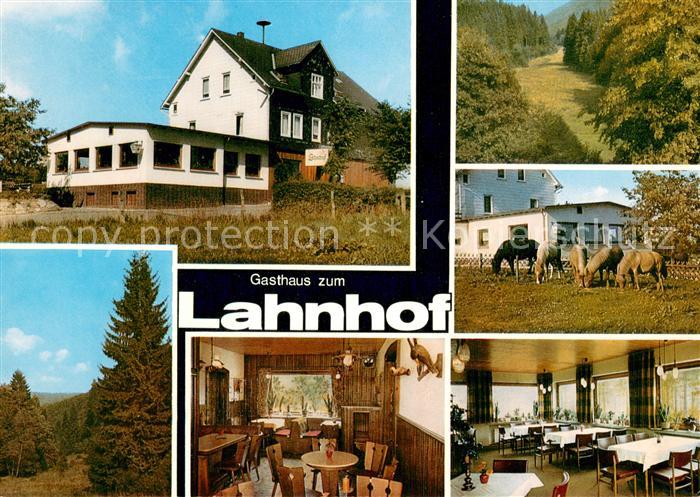 Lahnhof Gasthaus zum Lahnhof Gaststube Landschaftspanorama Pferde
