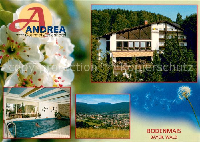 Bodenmais Andrea Gourmet-Ferienhotel Hallenbad Landschaftspanorama Blume