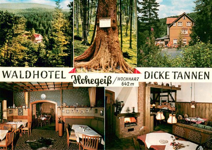 Hohegeiss Harz Waldhotel Dicke Tannen Restaurant Landschaftspanorama