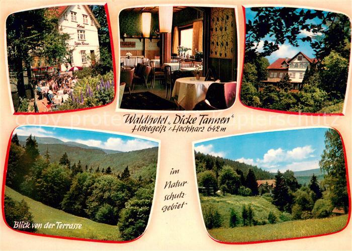 Hohegeiss Harz Waldhotel Dicke Tannen Landschaftspanorama