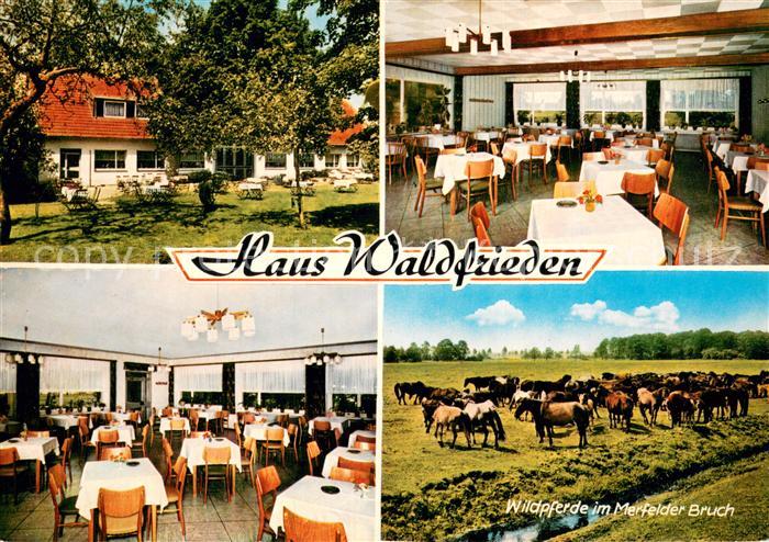 Boernste Gasthaus Waldfrieden am Wildpark Restaurant Wildpferde im Merfelder Bru