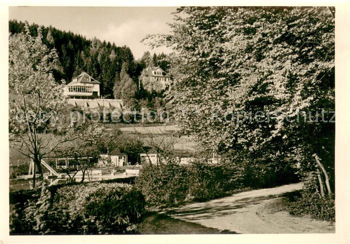 Bad Driburg Wald Cafe Falkenhoehe