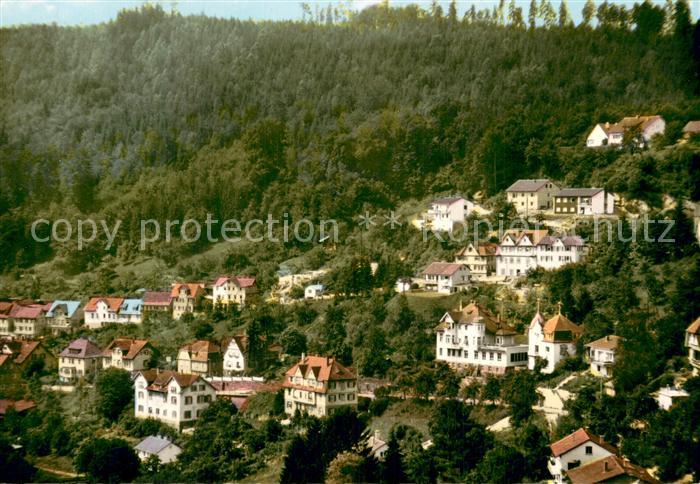 Neuenburg  Rhein Teilansicht