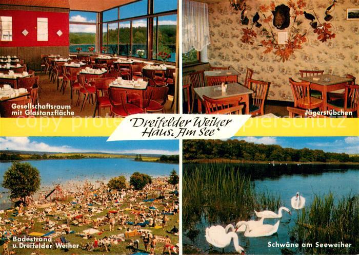 Schmidthahn Dreifelder Weiher Haus Am See Badestrand Schwaene