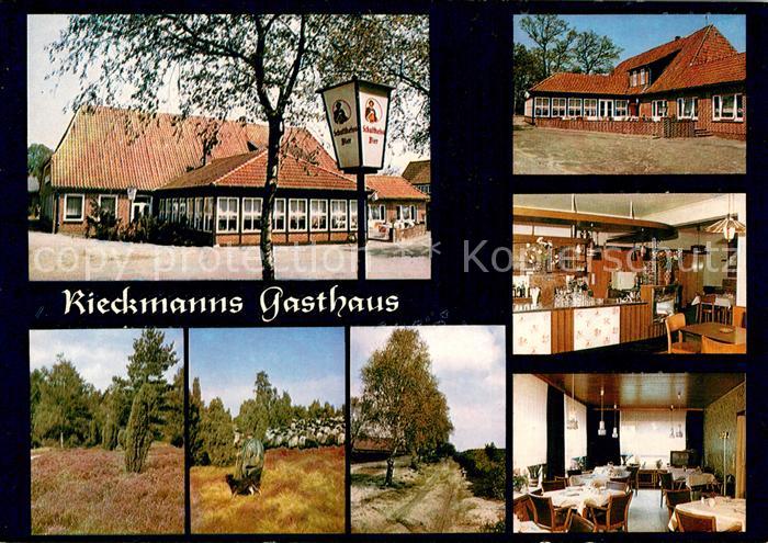 Behringen Bispingen Rieckmanns Gasthaus Landschaft Lueneburger Heide